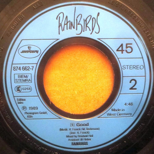 Rainbirds : Not Exactly (7", Single)