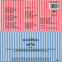 The Stranglers : Big In America (7", Single)