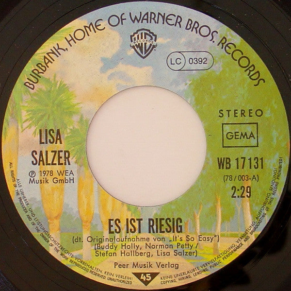 Lisa Salzer : Es Ist Riesig (7", Single)
