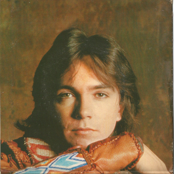 The Partridge Family Featuring David Cassidy : Die Grossen Vier Von The Partridge Family (2x7")