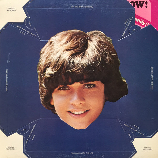 The DeFranco Family Featuring Tony DeFranco : Heartbeat, It's A Lovebeat (LP, Album)