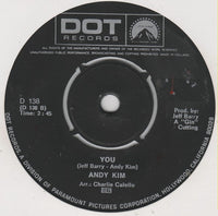 Andy Kim : A Friend In The City (7")