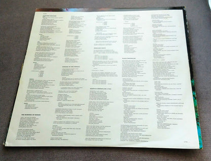 Dark Angel (3) : Darkness Descends (LP, Album)