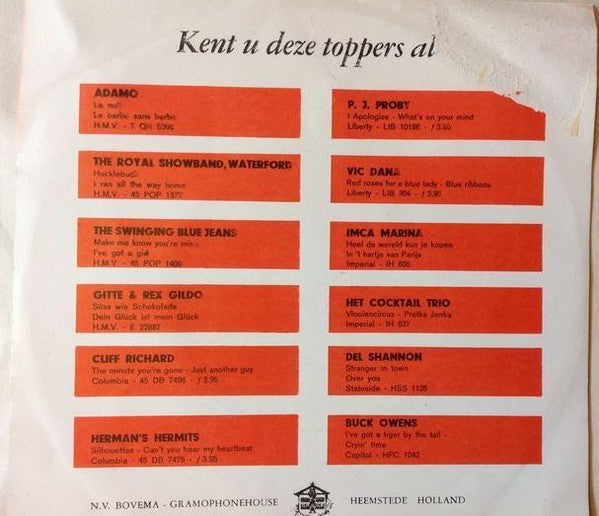 Cor Steyn : Wilde Ganzen / Aan De Amsterdamse Grachten (7", Single)