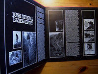John Mayall  With  Peter Green (2), Mick Taylor, Keef Hartley, John McVie : Blues Giant (2xLP, Comp, Gat)