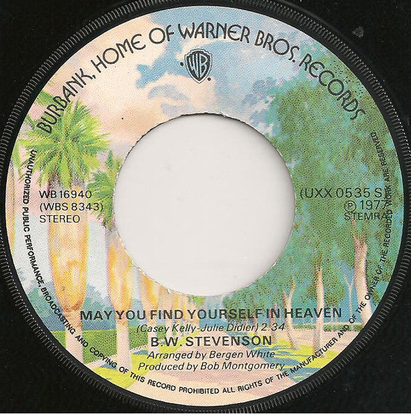 B.W. Stevenson : Down To The Station (7", Single)