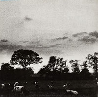 Pink Floyd : Atom Heart Mother (LP, Album, RP, Gat)