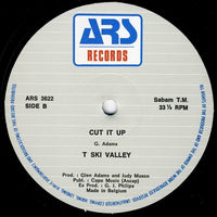 T-Ski Valley : It's Just A Groove (12")