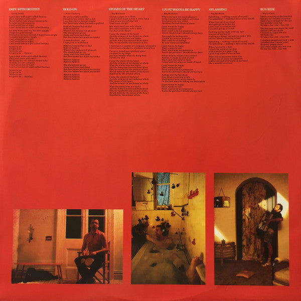 Mental As Anything : Fundamental (LP, Album)