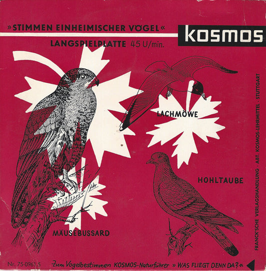 Gerhard Thielcke, Albert Ausobsky : Stimmen Einheimischer Vögel (7")