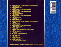 Various : The Raging Teens Volume 1 (CD, Comp)