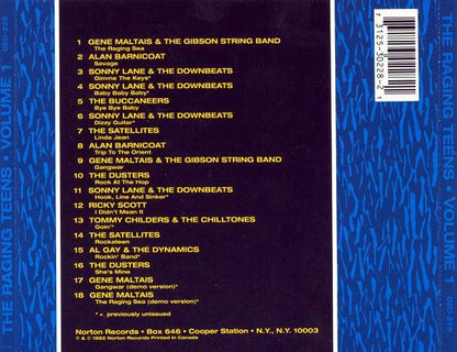 Various : The Raging Teens Volume 1 (CD, Comp)
