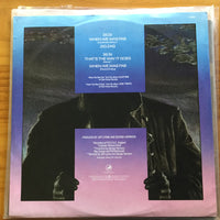 George Harrison : When We Was Fab (12")