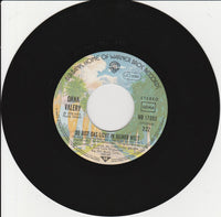 Dana Valery : Du Bist Das Licht In Meiner Welt (7", Single)