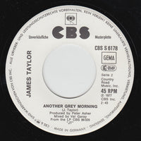 James Taylor (2) : Honey Don't Leave L.A. (7", Single, Promo)