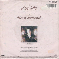 Private Property : Rise Into (7", Single)
