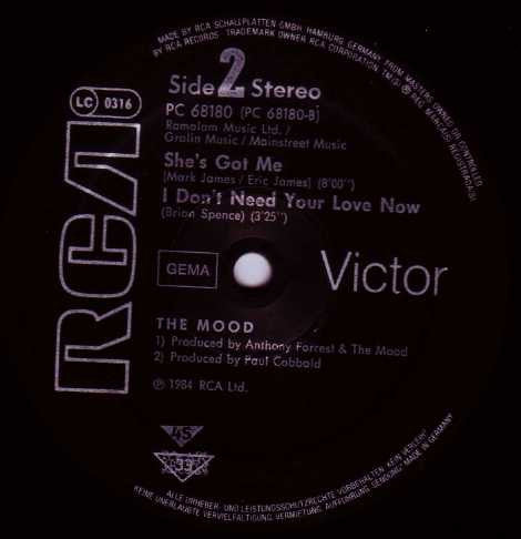 The Mood : I Don't Need Your Love Now (12", Single)