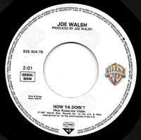 Joe Walsh : The Radio Song (7", Single)