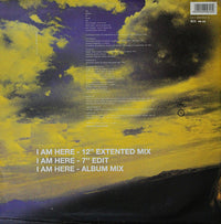 The Grapes Of Wrath : I Am Here (12")