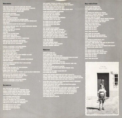 Herwig Mitteregger : Kein Mut - Kein Mädchen (LP, Album)