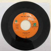 Mike Telly Band : In The Morning Of My Life (7", Single, Promo)