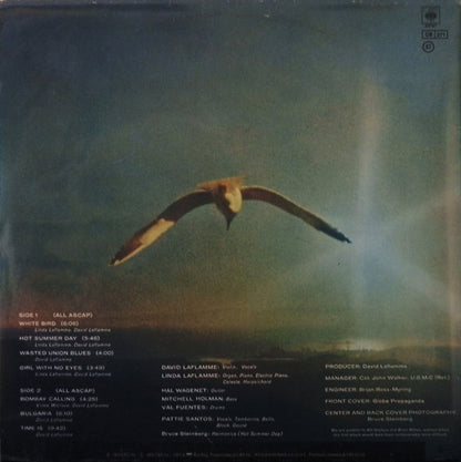 It's A Beautiful Day : It's A Beautiful Day (LP, Album, RE, Gat)