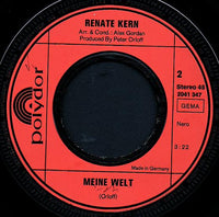 Renate Kern : Das Macht Diese Welt Erst Richtig Schön (7")
