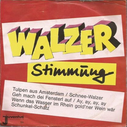 Joe Raphael Und Die Party-Singers : Walzer Stimmung (7", Single)