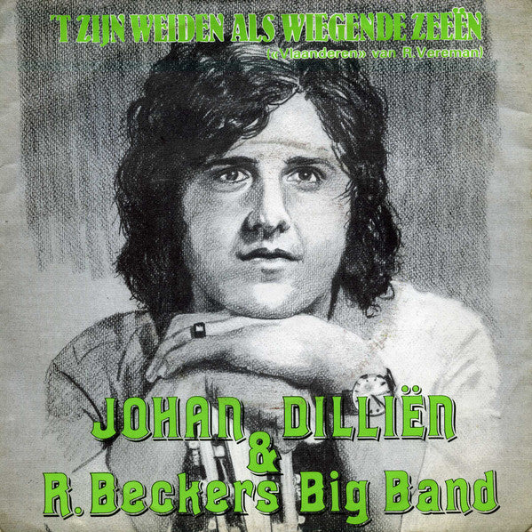 Johan Dilliën & Rene Beckers Big Band : 'T Zijn Weiden Als Wiegende Zeeën / Mijn Vlaand'ren Heb Ik Hartelijk Lief (7")